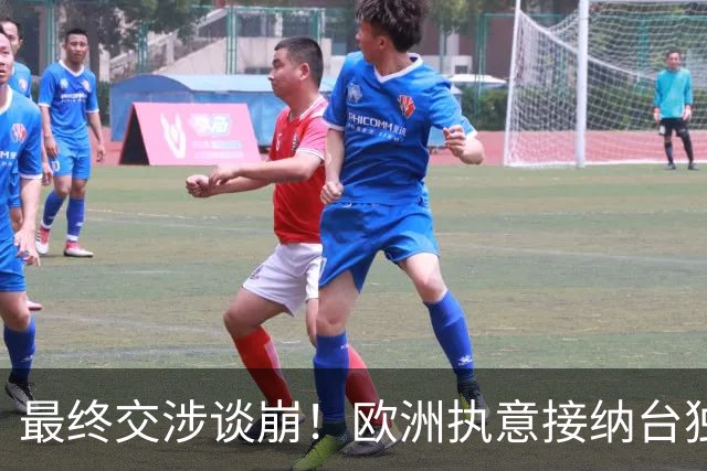 最终交涉谈崩！欧洲执意接纳台独参会，情况严重，中方已亮出底线